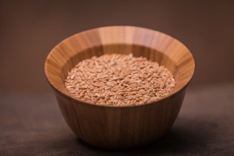 24 lbs Whole Grain Organic Einkorn Berries - Image 4