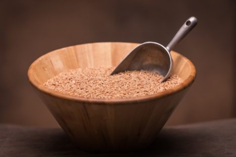 24 lbs Whole Grain Organic Spelt Berries - Image 4