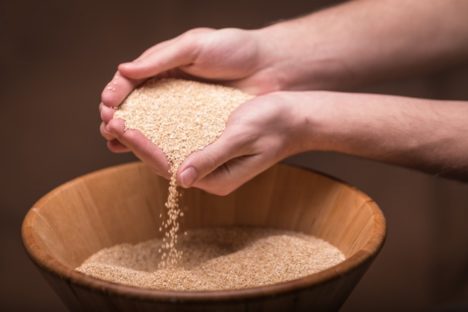 10 lbs Organic Quinoa - Image 2