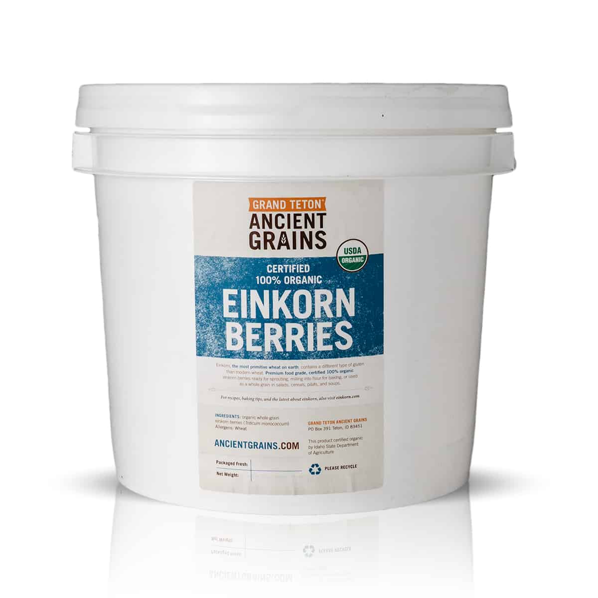 Organic Einkorn Berries In Super Pails - Image 2